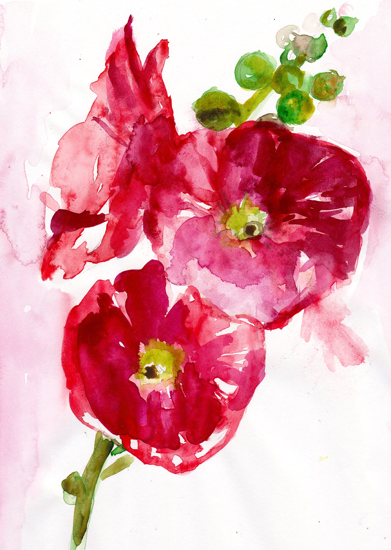 Hibiscus Original Painting