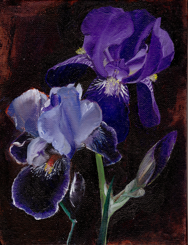 Irises on Dark - Original Painting