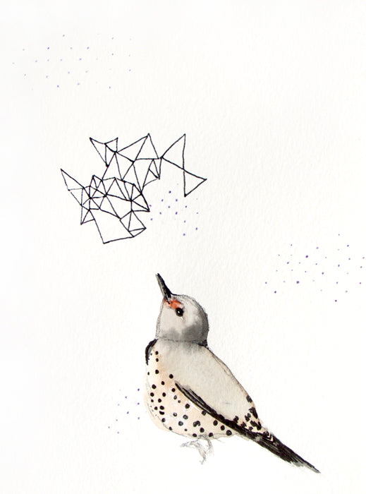 Northern Flicker Art Print