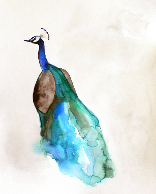 Peacock I Art Print